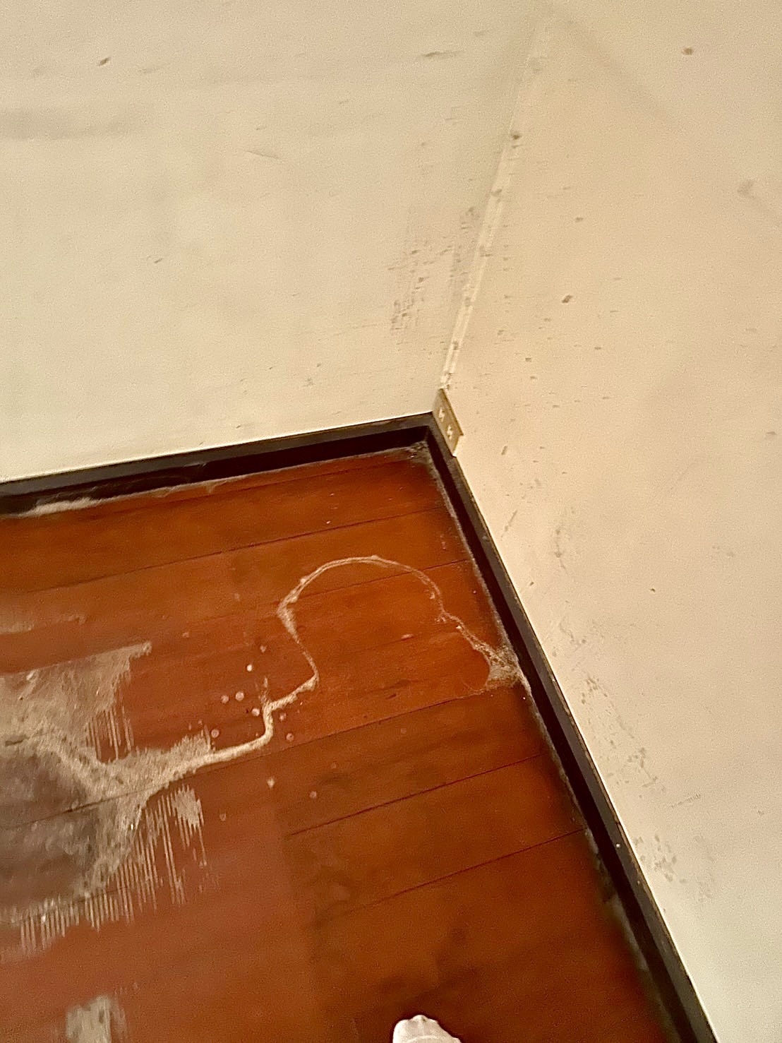 บริการฉีดปลวกเคมีแนวขอบพื้นเพื่อสร้าง Chemical Barrier ควบคุมพื้นที่ และประเมินจุดเสี่ยงสำหรับกำจัดแมลงสาบและกำจัดหนูร่วมด้วย