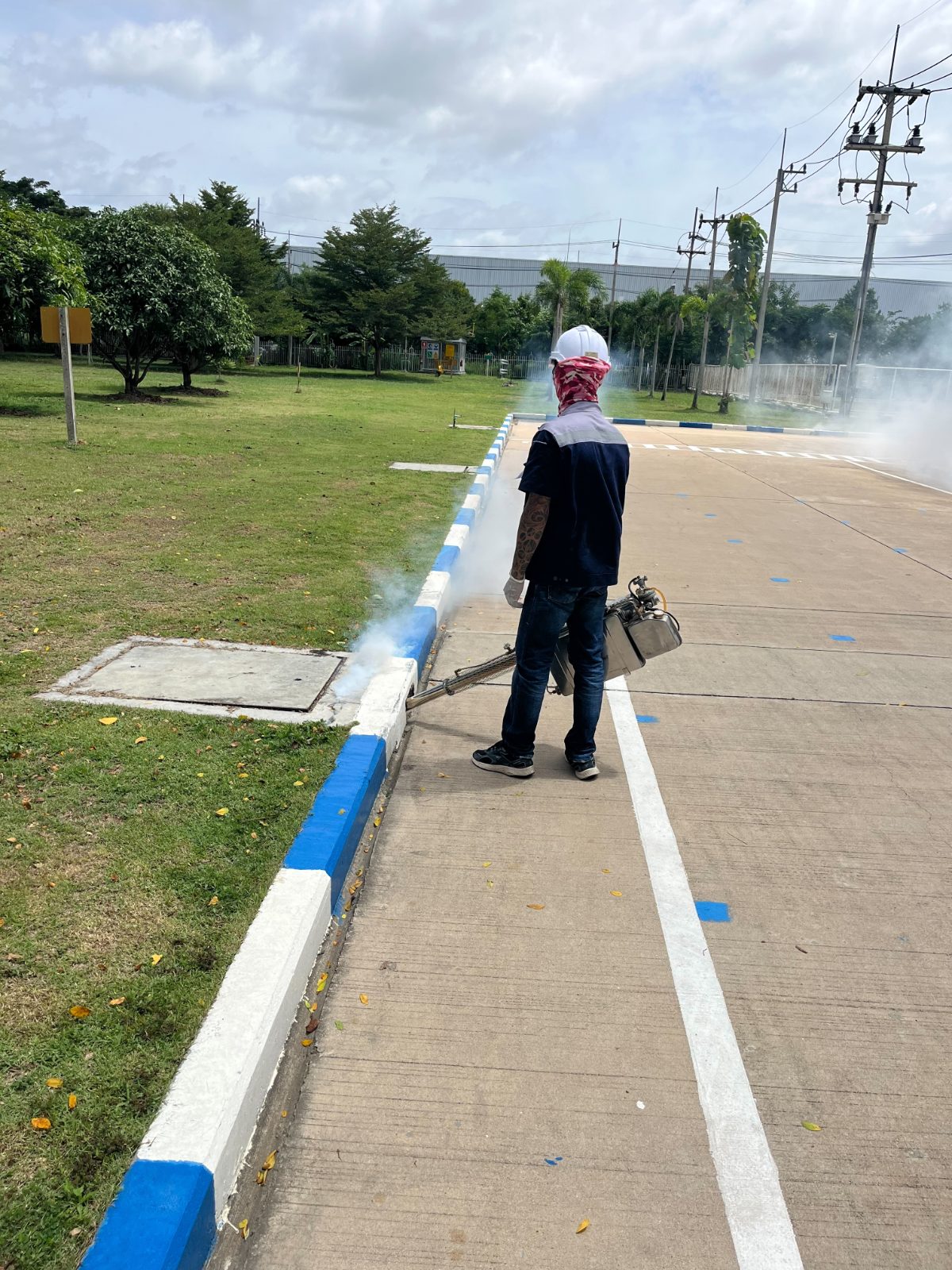พ่นหมอกควันเน้นบริเวณฝาปิดท่อและแนวขอบสนามหญ้า เพื่อตัดวงจรชีวิตยุงลายตัวแก่ไม่ให้บินเข้าไปแพร่เชื้อในอาคาร