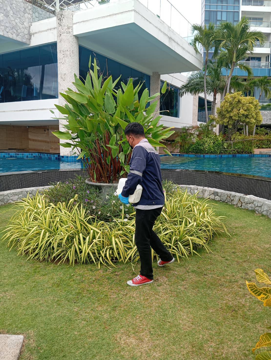 ป้องกันงู รอบคอนโด รูปที่ 4