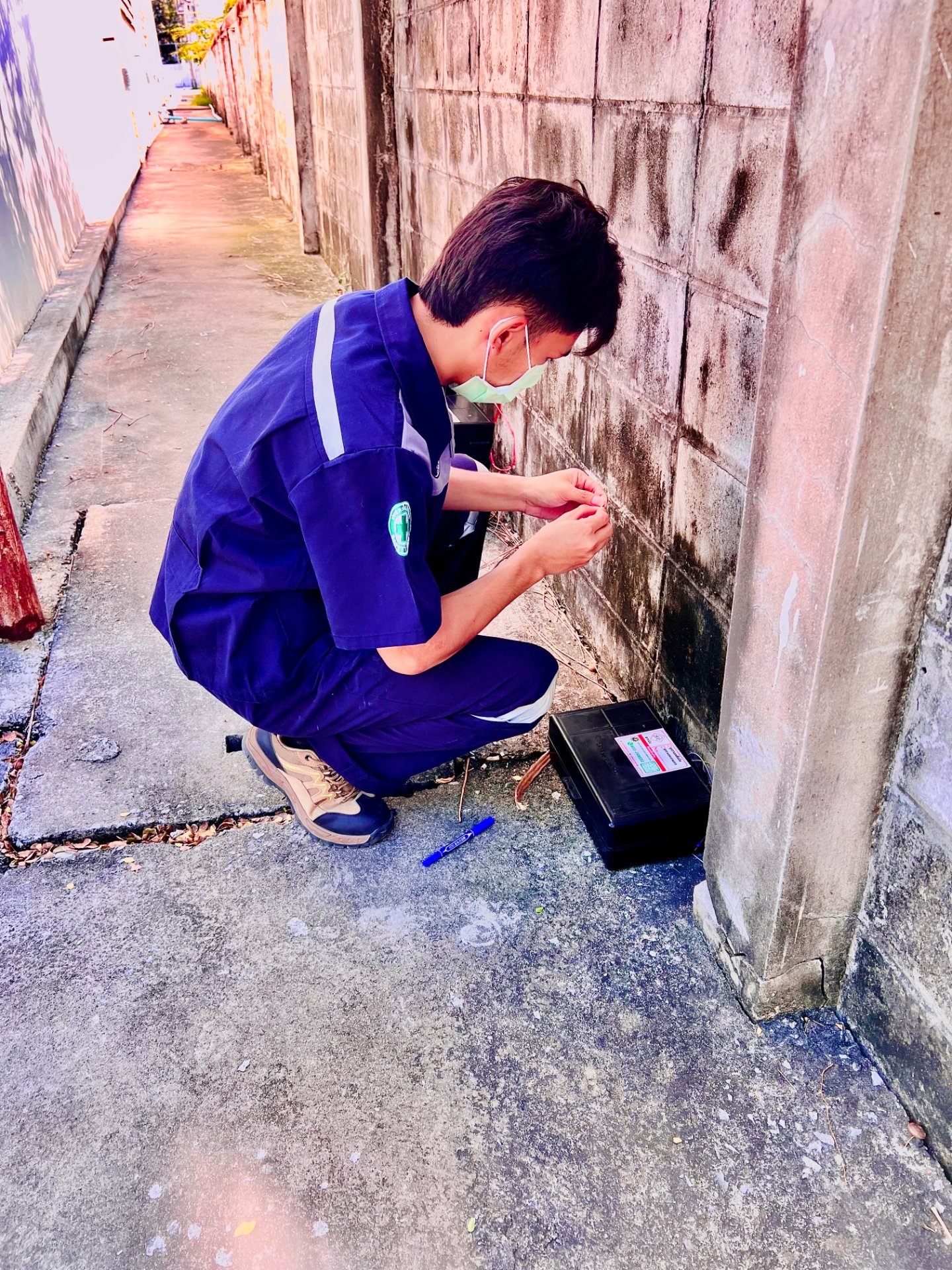 กำจัดหนู ด้วยระบบ กำจัดที่ได้มาตรฐาน รูปที่ 8