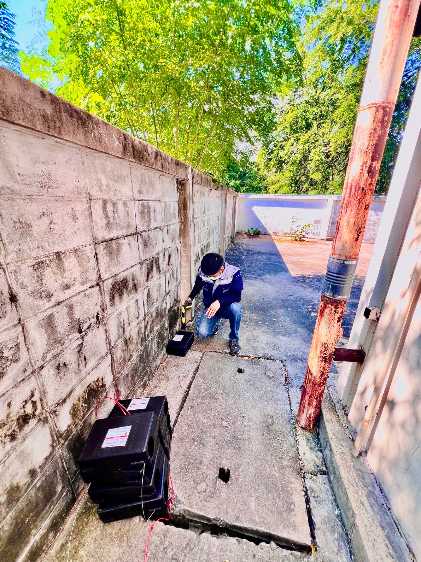 กำจัดหนู ด้วยระบบ กำจัดที่ได้มาตรฐาน รูปที่ 9