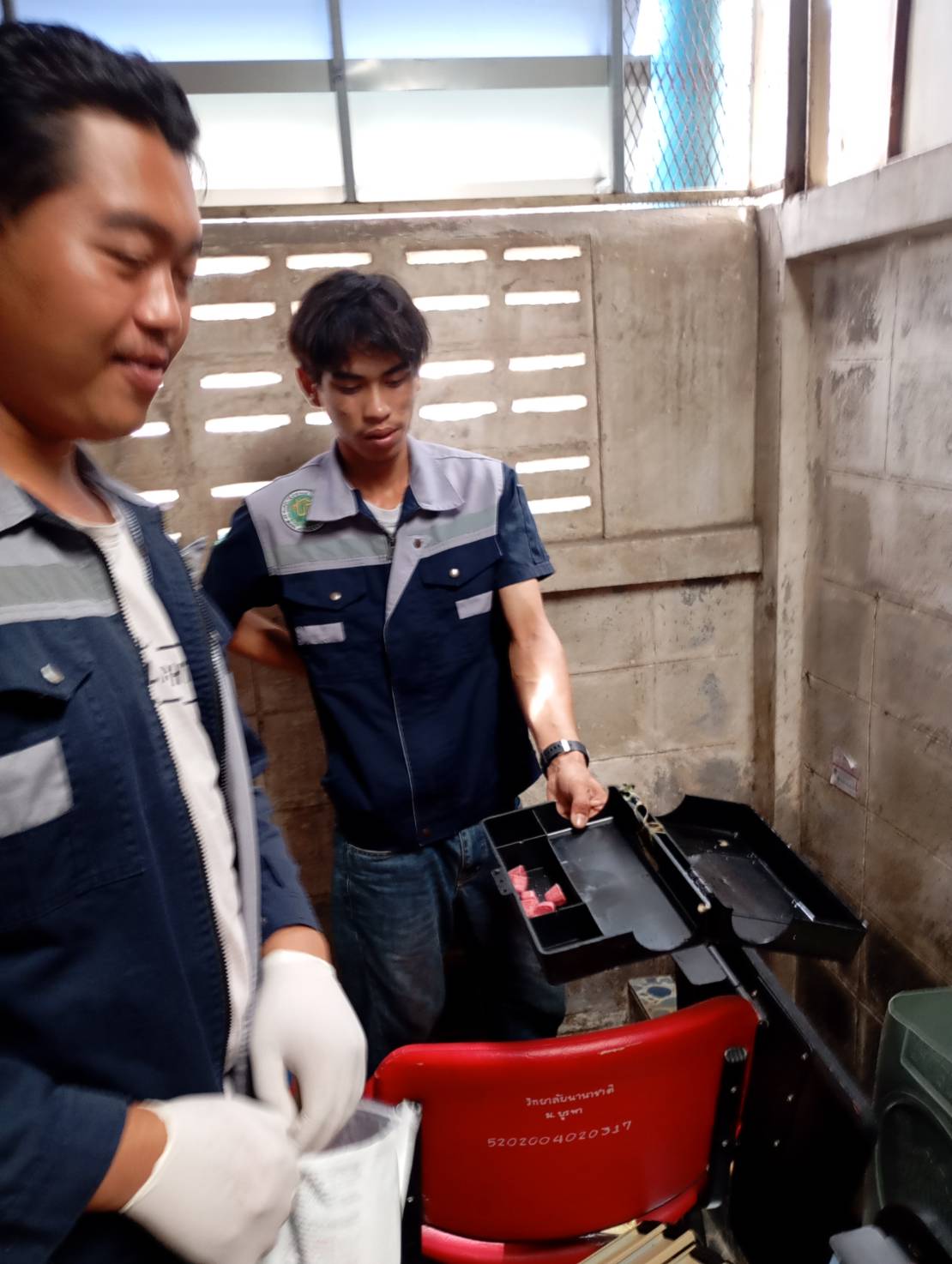 ติดตามผล รอบเซอร์วิส ระบบ กำจัดปลวก กำจัดแมลง รูปที่ 4