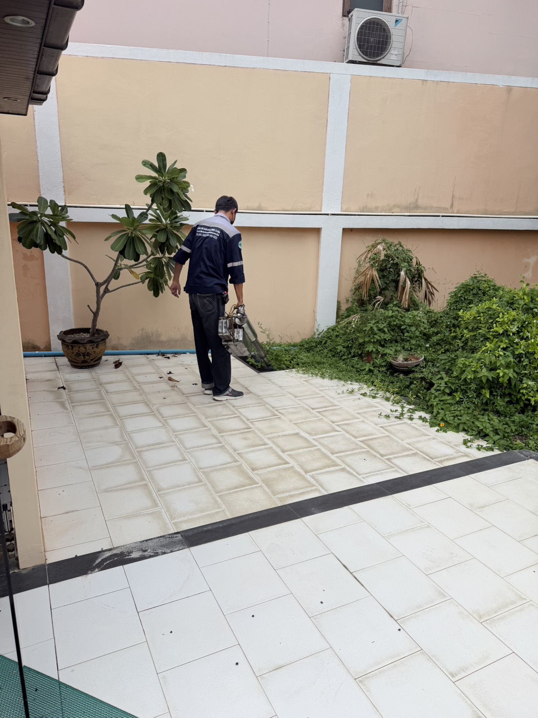 กำจัดปลวก มด หนู แมลงสาบ ในบ้านเรื่อน pest control