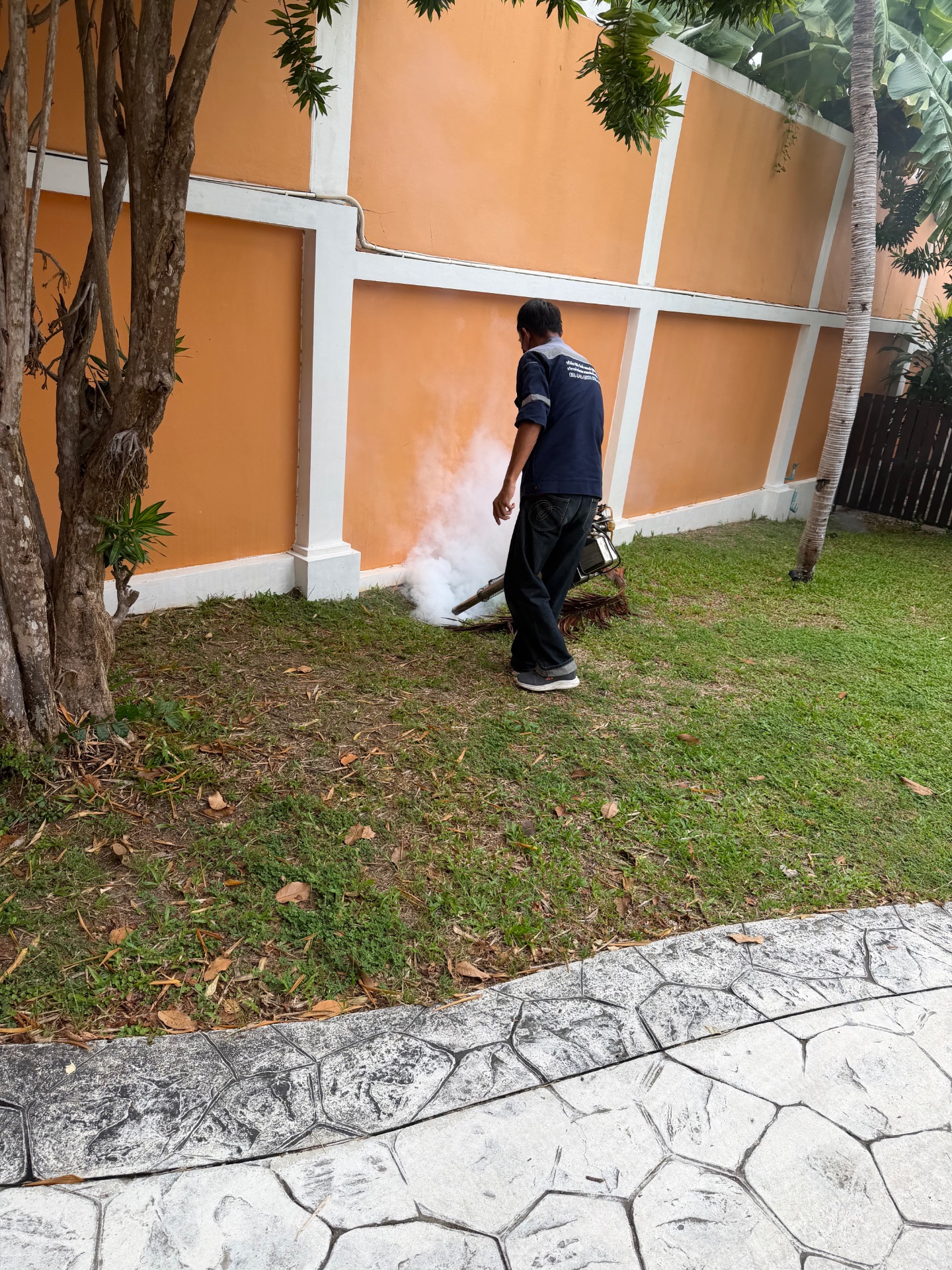 กำจัดปลวก มด หนู แมลงสาบ ในบ้านเรื่อน pest control รูปที่ 3