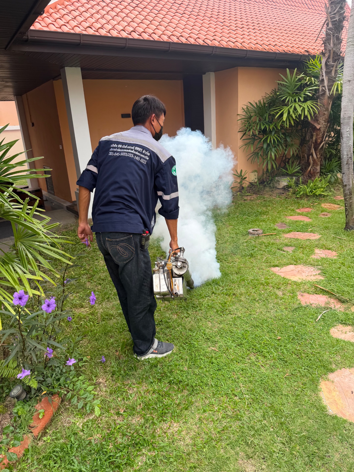 กำจัดปลวก มด หนู แมลงสาบ ในบ้านเรื่อน pest control รูปที่ 4