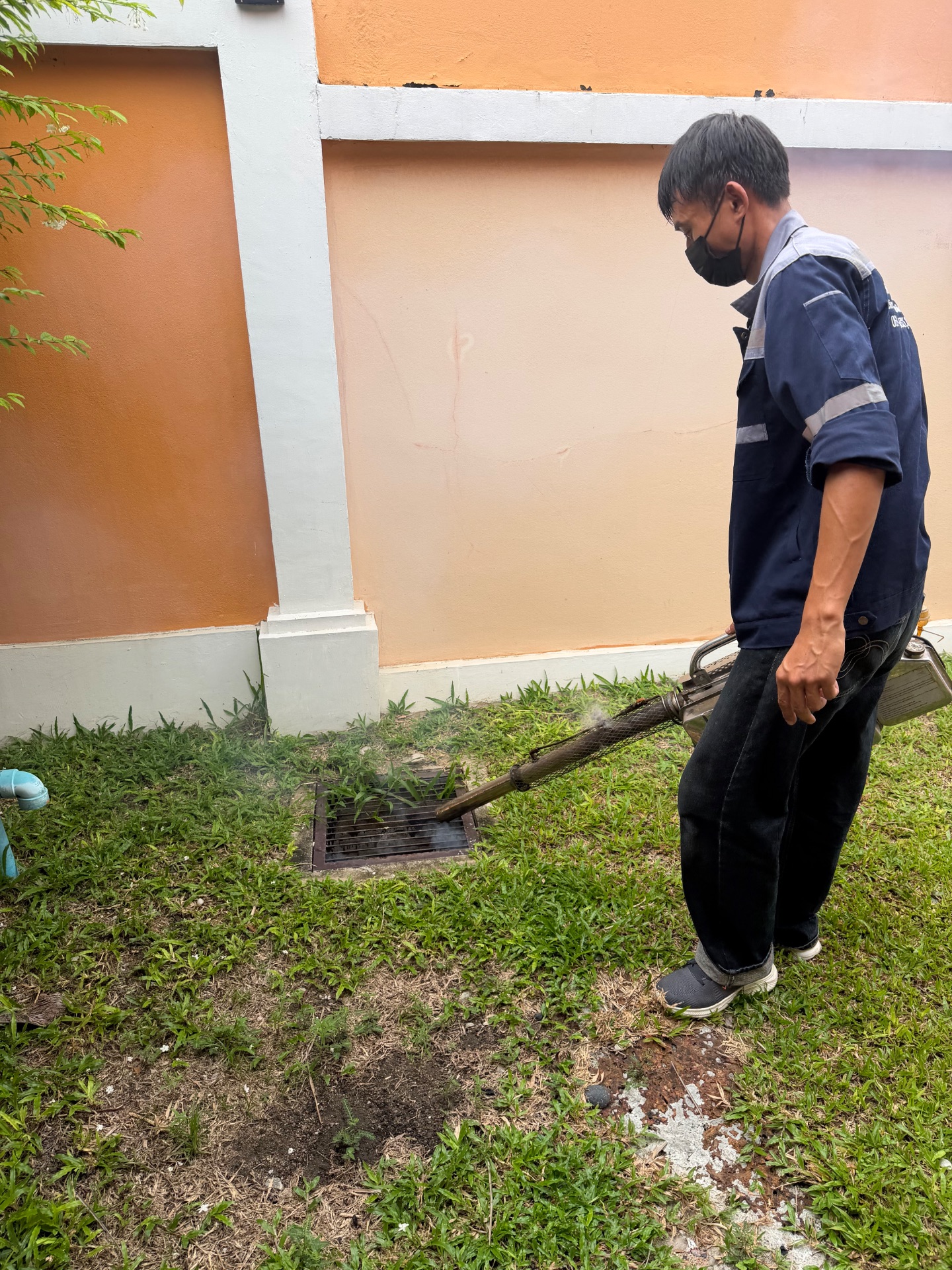 กำจัดปลวก มด หนู แมลงสาบ ในบ้านเรื่อน pest control รูปที่ 5