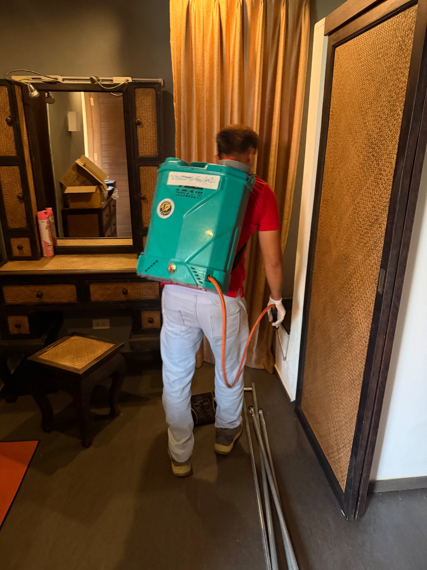 กำจัดปลวก มด หนู แมลงสาบ ในบ้านเรื่อน pest control รูปที่ 7