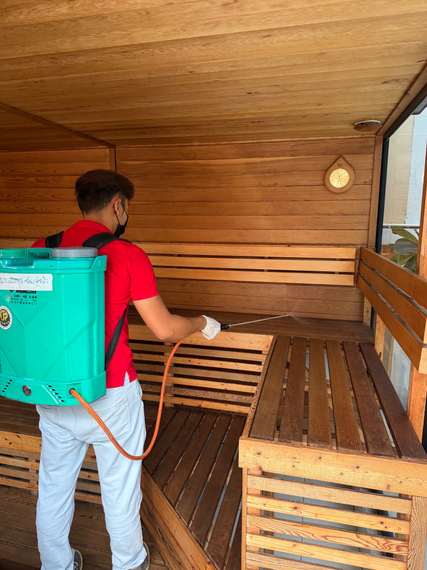 กำจัดปลวก มด หนู แมลงสาบ ในบ้านเรื่อน pest control รูปที่ 9