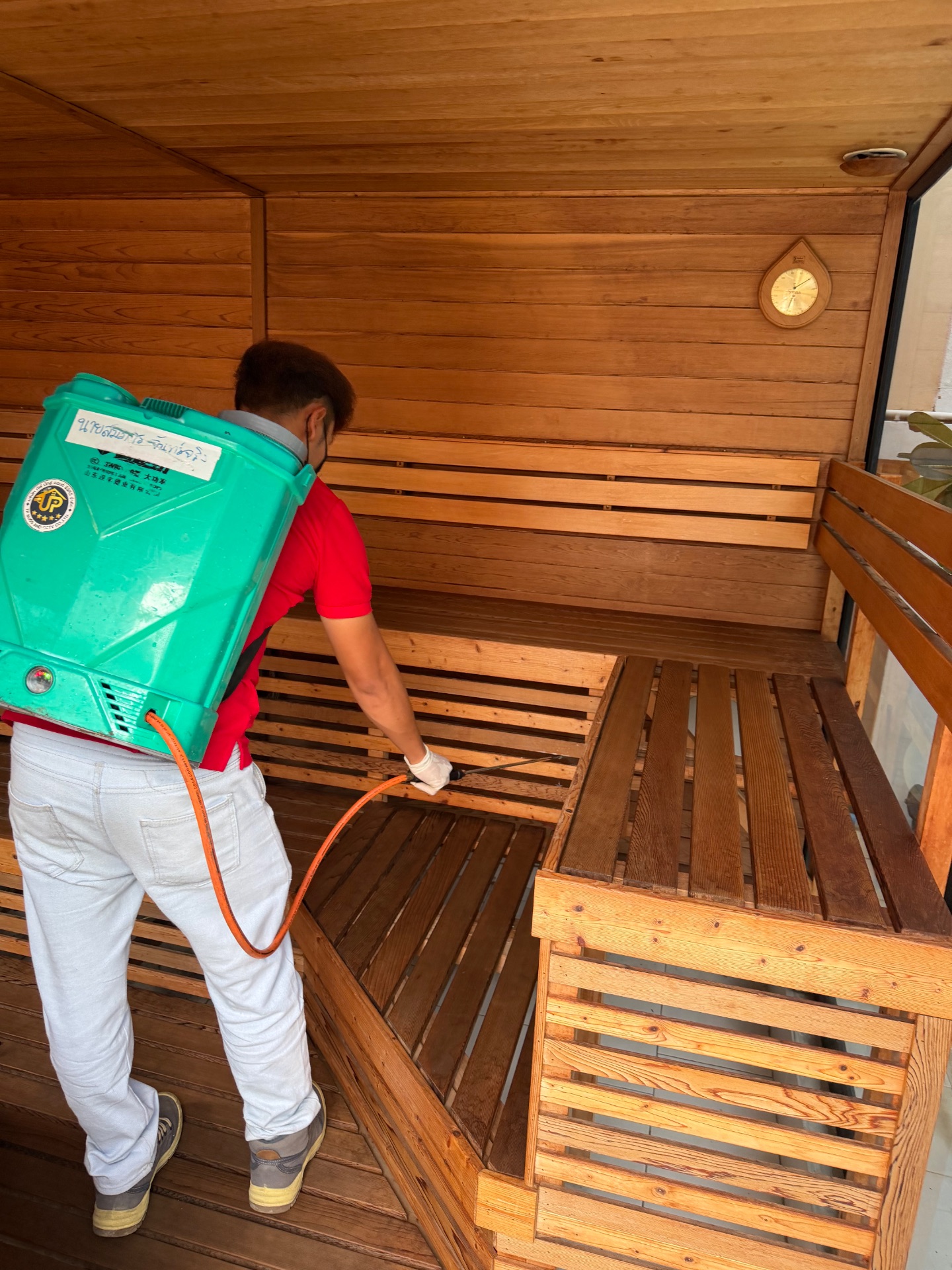 กำจัดปลวก มด หนู แมลงสาบ ในบ้านเรื่อน pest control รูปที่ 10