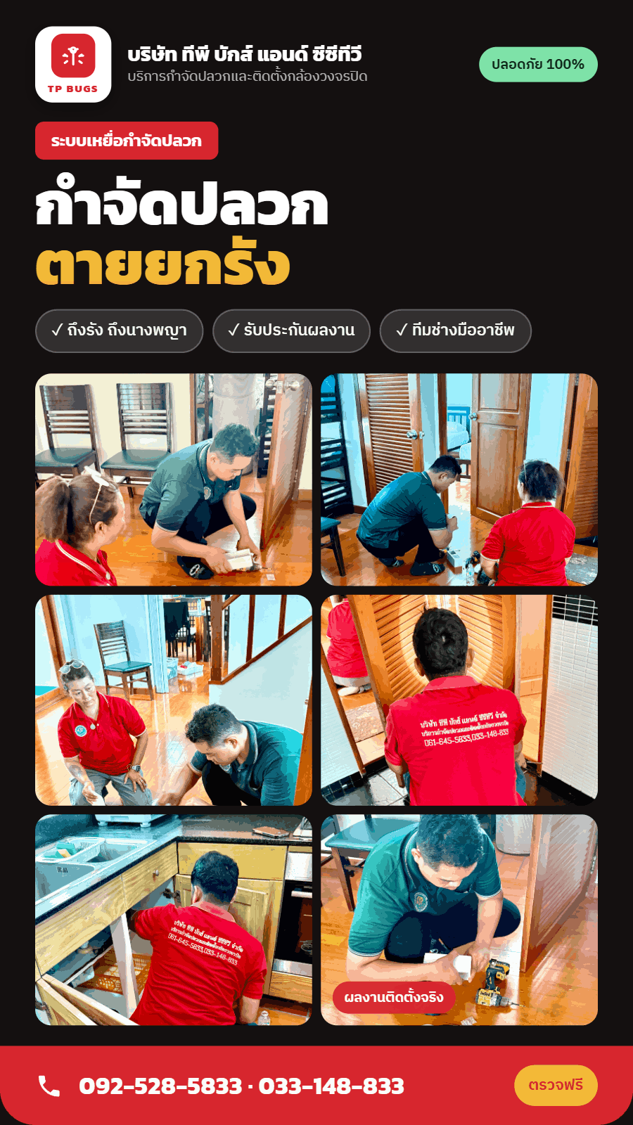 กำจัดปลวก