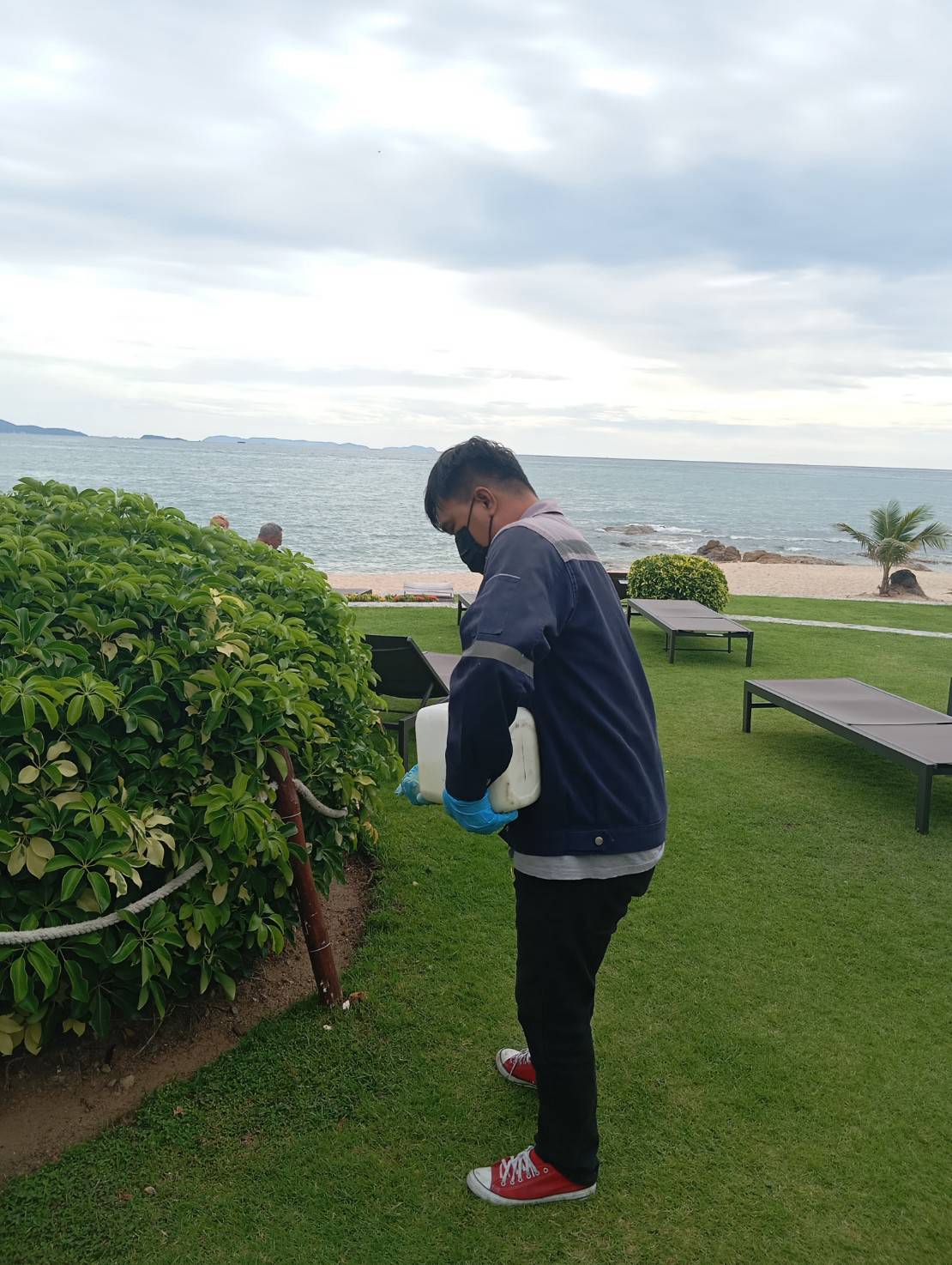 เจ้าหน้าที่โรยผงขับไล่งูบริเวณโคนพุ่มไม้ ซึ่งเป็นจุดอับที่งูมักเข้ามาดักจับหนูและแมลงสาบเป็นอาหาร